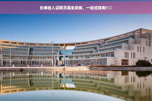 长春收入证明开具全攻略，一站式指南?⚡️