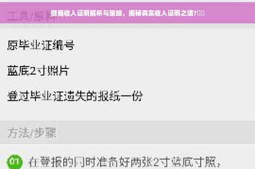 微商收入证明解析与策略，揭秘真实收入证明之道?⚡️