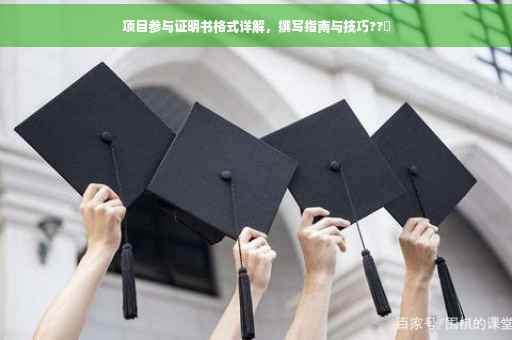 项目参与证明书格式详解，撰写指南与技巧??️