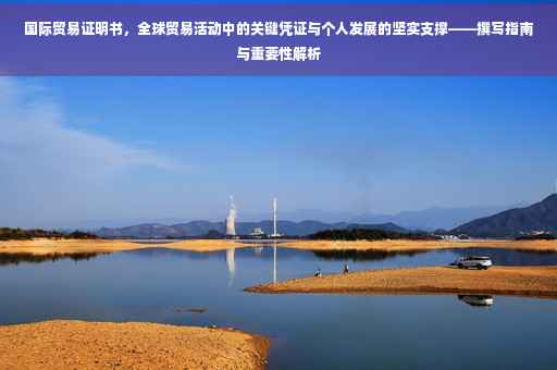 国际贸易证明书，全球贸易活动中的关键凭证与个人发展的坚实支撑——撰写指南与重要性解析