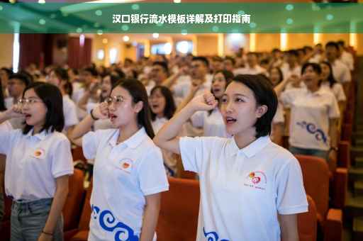 汉口银行流水模板详解及打印指南