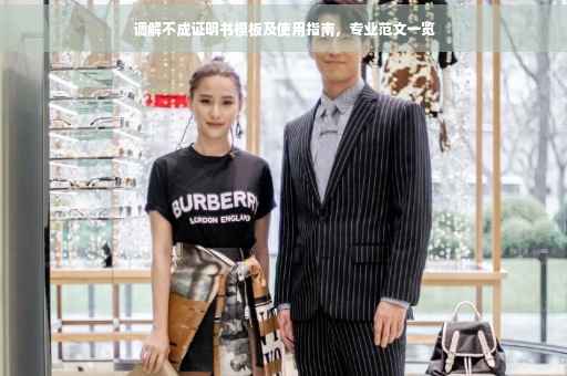 调解不成证明书模板及使用指南，专业范文一览
