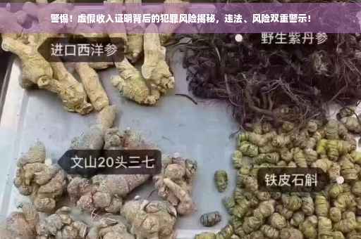 警惕！虚假收入证明背后的犯罪风险揭秘，违法、风险双重警示！
