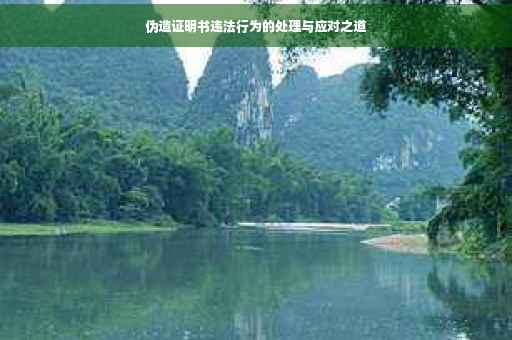 伪造证明书违法行为的处理与应对之道