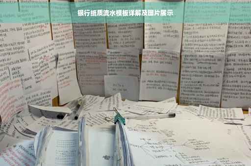 银行纸质流水模板详解及图片展示
