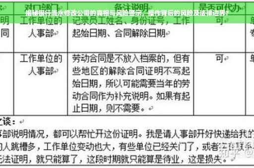 揭秘银行流水修改公司的真相与风险警示，操作背后的风险及法律边界?