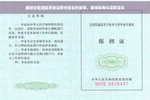 揭秘安阳钢筋质量证明书背后的故事，查询指南与深度探究