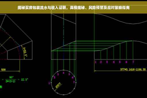 揭秘买房包装流水与收入证明，真相揭秘、风险预警及应对策略指南