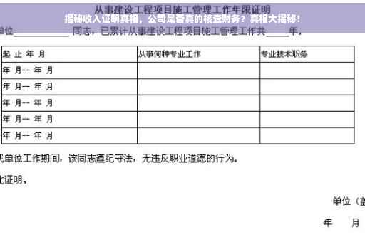 揭秘收入证明真相，公司是否真的核查财务？真相大揭秘！