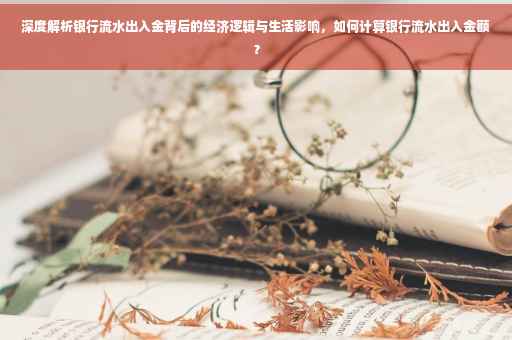 深度解析银行流水出入金背后的经济逻辑与生活影响，如何计算银行流水出入金额？