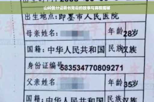 山岭倒分证明书背后的故事与真相揭秘