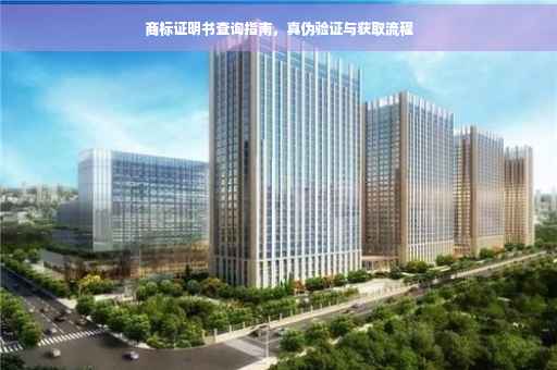 商标证明书查询指南，真伪验证与获取流程