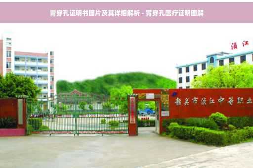 胃穿孔证明书图片及其详细解析 - 胃穿孔医疗证明图解