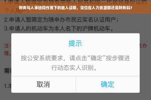 财务与人事协同作用下的收入证明，定位在人力资源部还是财务科？