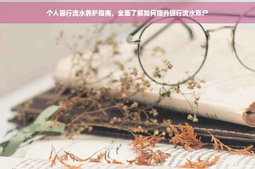 个人银行流水养护指南，全面了解如何提升银行流水账户