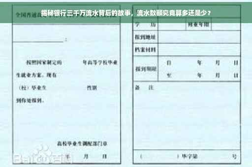 揭秘银行三千万流水背后的故事，流水数额究竟算多还是少？