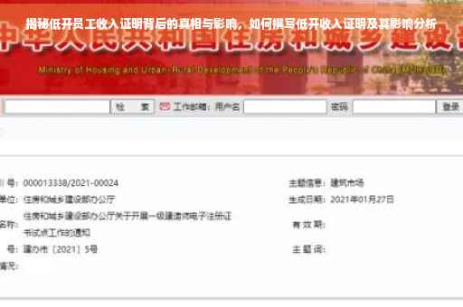 揭秘低开员工收入证明背后的真相与影响，如何撰写低开收入证明及其影响分析