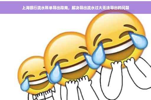 上海银行流水账单导出指南，解决导出流水过大无法导出的问题