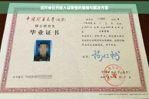 应对单位开收入证明慢的策略与解决方案