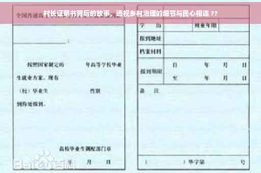 村长证明书背后的故事，透视乡村治理的细节与民心相连 ??