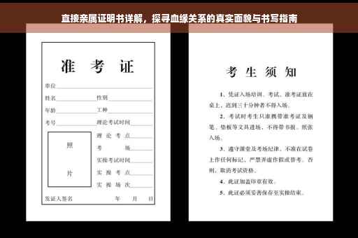 直接亲属证明书详解，探寻血缘关系的真实面貌与书写指南