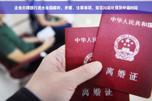 企业办理银行流水全程解析，步骤、注意事项、常见问题处理及所需时间