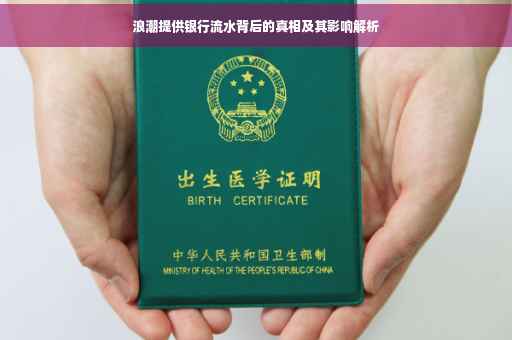 浪潮提供银行流水背后的真相及其影响解析