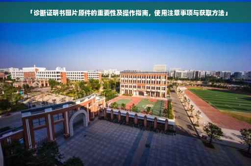 「诊断证明书图片原件的重要性及操作指南，使用注意事项与获取方法」