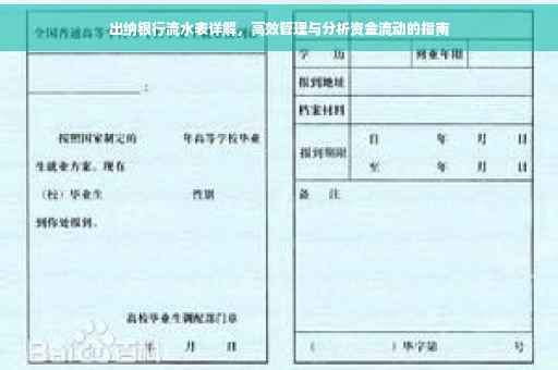 出纳银行流水表详解，高效管理与分析资金流动的指南
