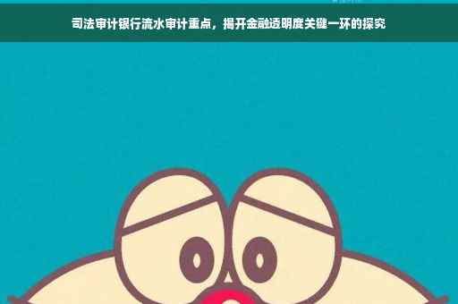 司法审计银行流水审计重点，揭开金融透明度关键一环的探究
