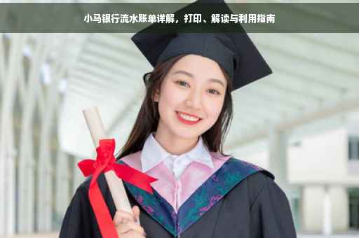 小马银行流水账单详解，打印、解读与利用指南