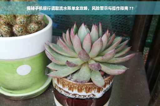 揭秘手机银行调取流水账单全攻略，风险警示与操作指南 ??