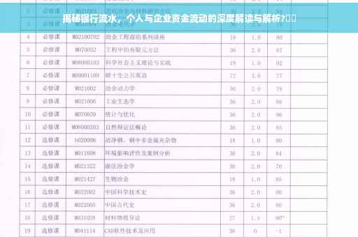 揭秘银行流水，个人与企业资金流动的深度解读与解析?⚡️