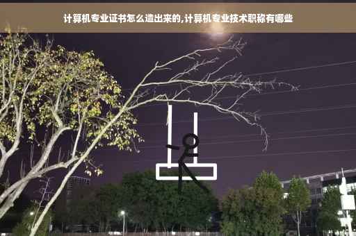 计算机专业证书怎么造出来的,计算机专业技术职称有哪些