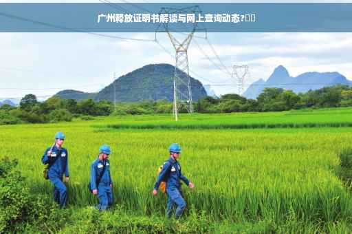 广州释放证明书解读与网上查询动态?⚡️