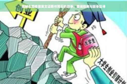 揭秘东莞疫苗英文证明书背后的故事，查询指南与故事探寻