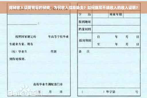 揭秘收入证明背后的秘密，为何收入信息缺失？如何撰写不填收入的收入证明？