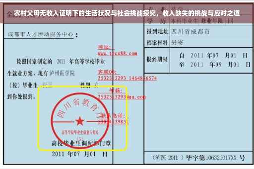 农村父母无收入证明下的生活状况与社会挑战探究，收入缺失的挑战与应对之道