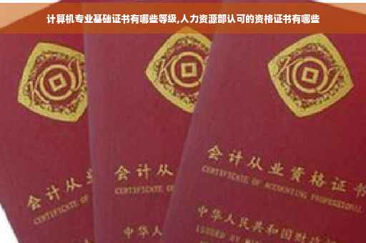 计算机专业基础证书有哪些等级,人力资源部认可的资格证书有哪些