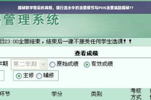 揭秘数字背后的真相，银行流水中的消费细节与POS消费追踪揭秘??