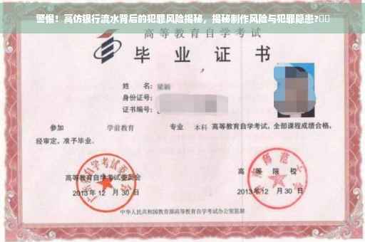 警惕！高仿银行流水背后的犯罪风险揭秘，揭秘制作风险与犯罪隐患?⚡️