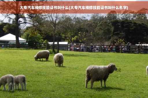 大专汽车维修技能证书叫什么(大专汽车维修技能证书叫什么名字)
