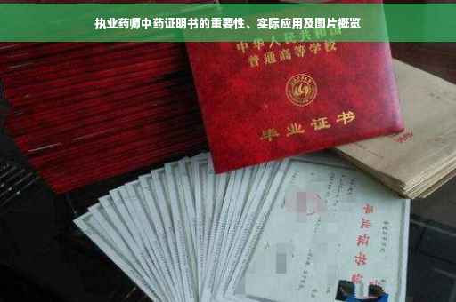 执业药师中药证明书的重要性、实际应用及图片概览
