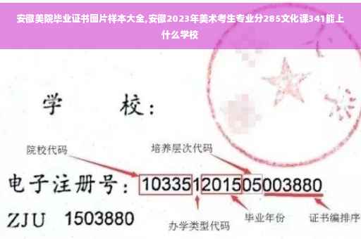 安徽美院毕业证书图片样本大全,安徽2023年美术考生专业分285文化课341能上什么学校