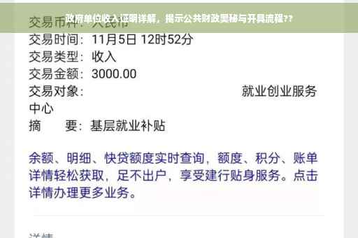 政府单位收入证明详解，揭示公共财政奥秘与开具流程??