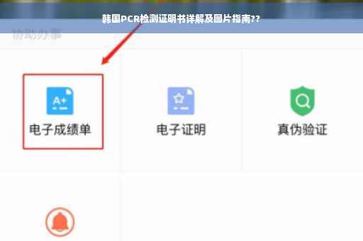 韩国PCR检测证明书详解及图片指南??