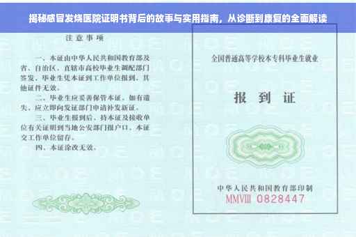 揭秘感冒发烧医院证明书背后的故事与实用指南，从诊断到康复的全面解读