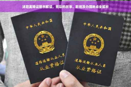 沭阳离婚证明书解读，背后的故事、影响及办理地点全解析