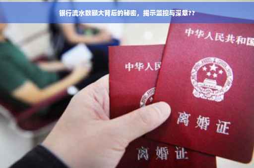 银行流水数额大背后的秘密，揭示监控与深意??