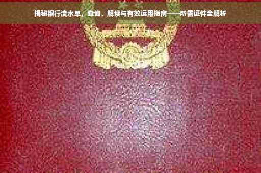 揭秘银行流水单，查询、解读与有效运用指南——所需证件全解析